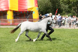 E34_1616 2026