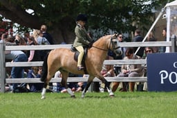 S31_6889 2026