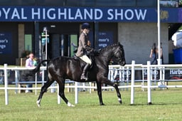 A46_0598 2026