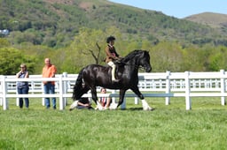 09-07 HOYS JNR Ridden M&M Championship