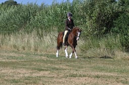 S60_0236 2026