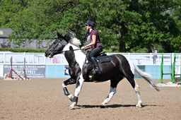 A32_1578 2026