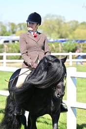 60 M&M Pure Novice Fell Dales High