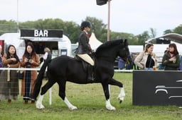E30_3036 2026