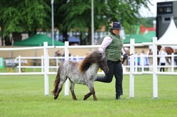 H44_0647 2026