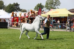 E34_1579 2026
