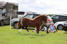 J36_7318 2026