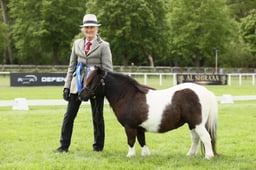 Shetland Championship