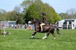 M19_0417 2026