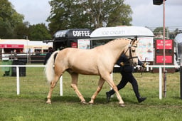E31_0569 2026