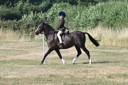 S60_0148 2026