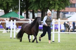 E44_0550 2026