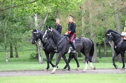 Household Cavalry