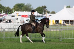 C34_0496 2026