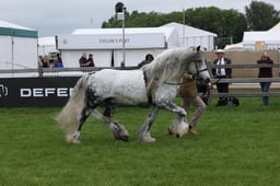W29_0906 2026