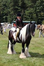 Z68_0905 2026