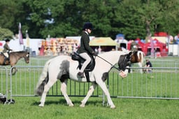 C33_0342 2026