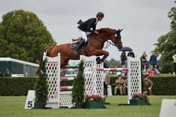 Show Jumping - Great Yorkshire Challenge