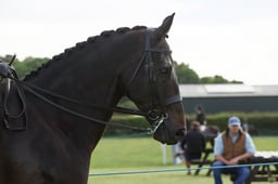 E36_0003 2026