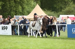 E30_3726 2026