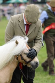 H44_0944 2026