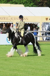 S28_7093 2026