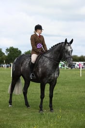 E36_0604 2026