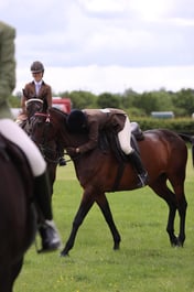 J36_7167 2026