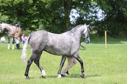 J36_6808 2026