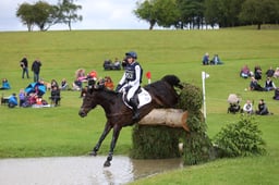 D39_3041 2026