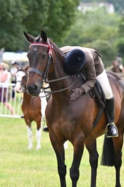 Prize giving