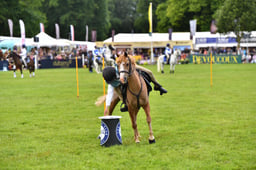 R39_1909 2026