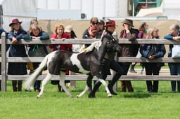 S28_8875 2026