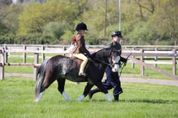 75-74 M&M Novice Lead Rein Championship
