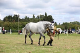 W36_1147 2026