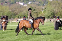 C19_0441 2026