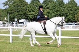 Z43_6898 2026