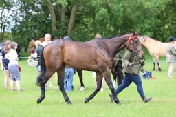 J36_6730 2026