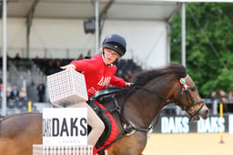 H31_1662 2026