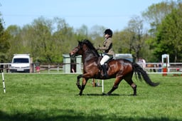 M19_0560 2026