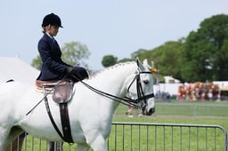 11 RIHS SSADL Ridden 19-23 yrs
