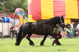 E34_2736 2026