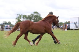 J36_6130 2026