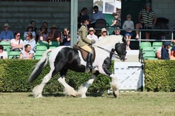 S61_0675 2026