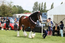 E36_1409 2026