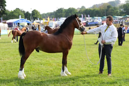 E69_0558 2026