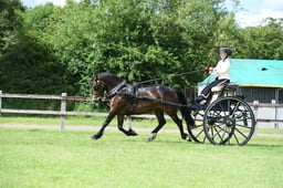 CLH256 Driving Concours D’Elegance