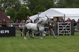 W29_0832 2026