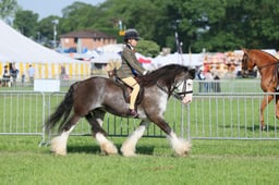 C34_0461 2026