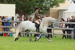 S30_4875 2026